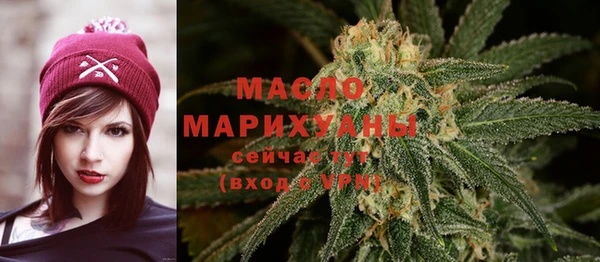 молекула духа Надым