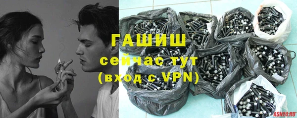 молекула духа Надым