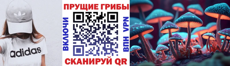 ОМГ ОМГ рабочий сайт  Эртиль  Псилоцибиновые грибы прущие грибы  купить  